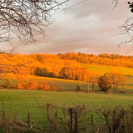 Hedgehog Lodge Colwall エクステリア 写真