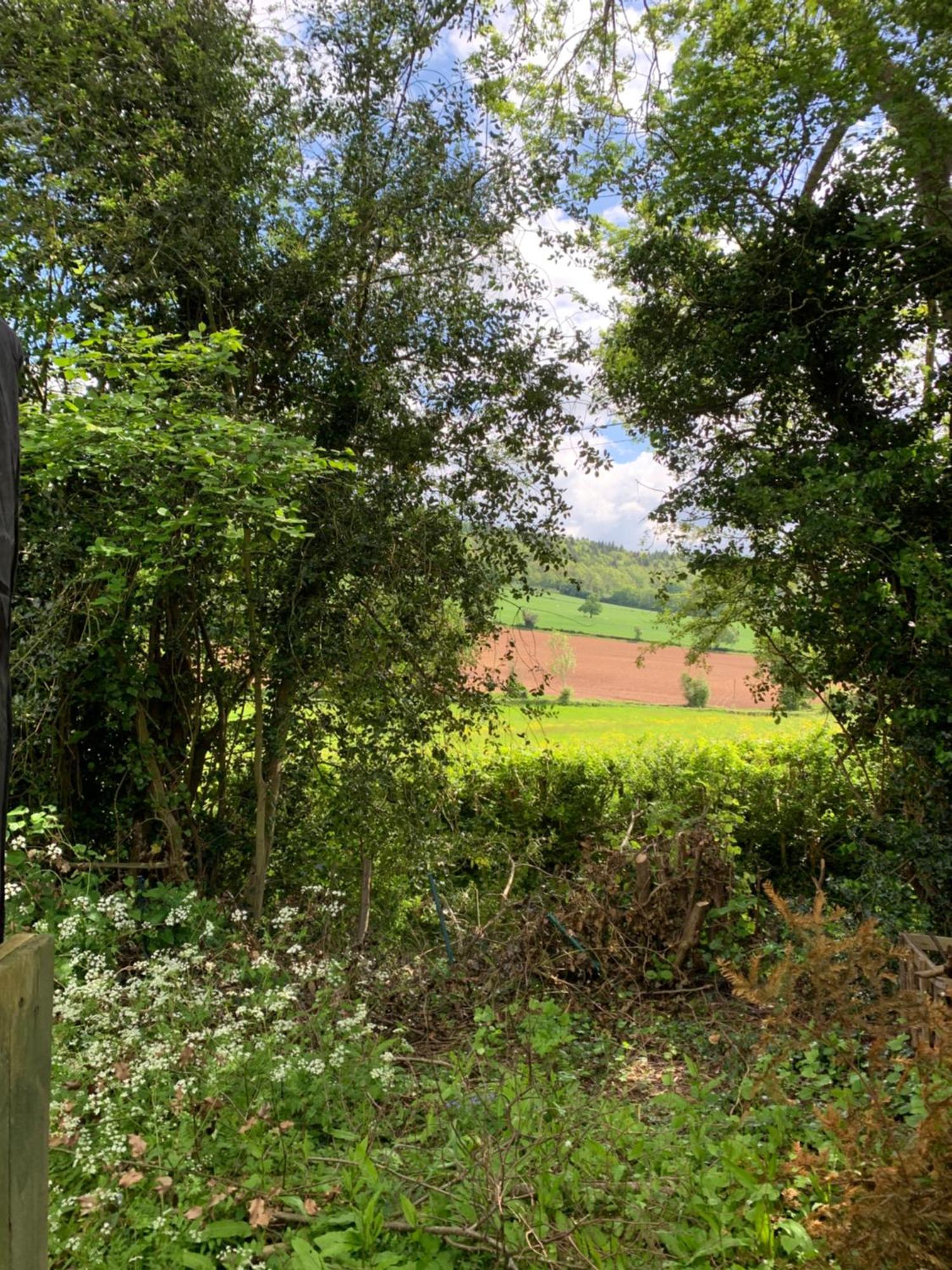 Hedgehog Lodge Colwall エクステリア 写真