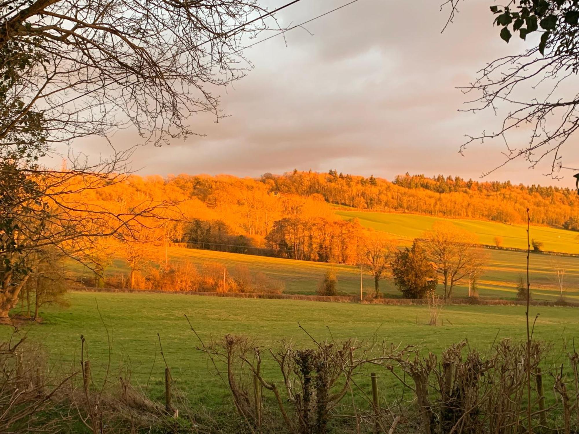 Hedgehog Lodge Colwall エクステリア 写真