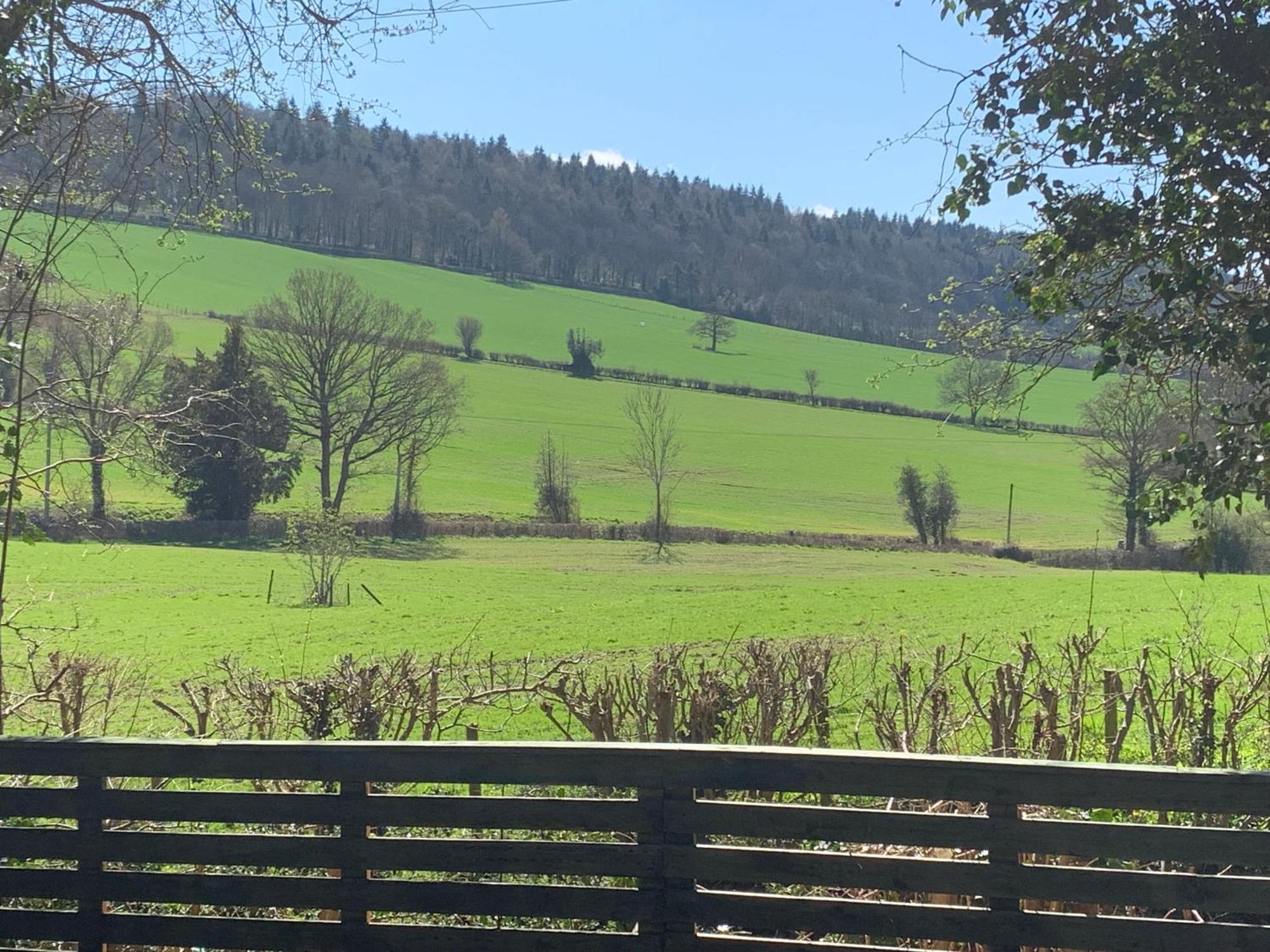 Hedgehog Lodge Colwall エクステリア 写真